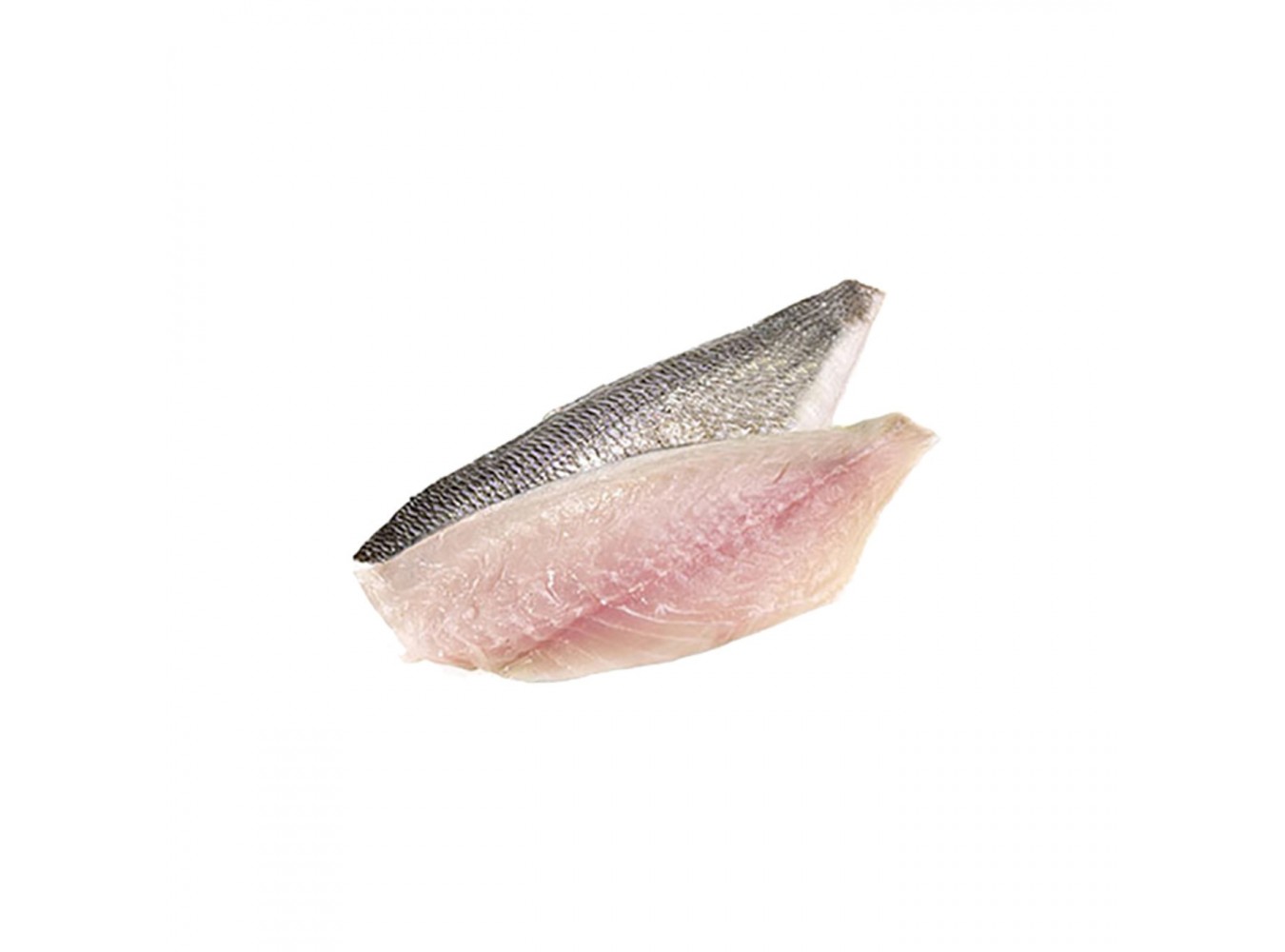 OMBRINA FILETTO 600/1000      PZ10X1KG