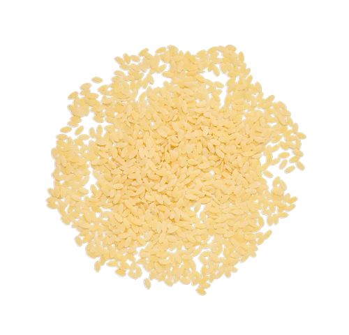 MOLISANA 62 RISO               GR.500X24