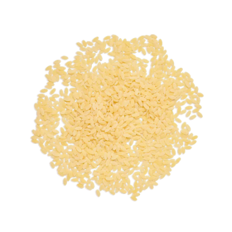 MOLISANA 62 RISO               GR.500X24