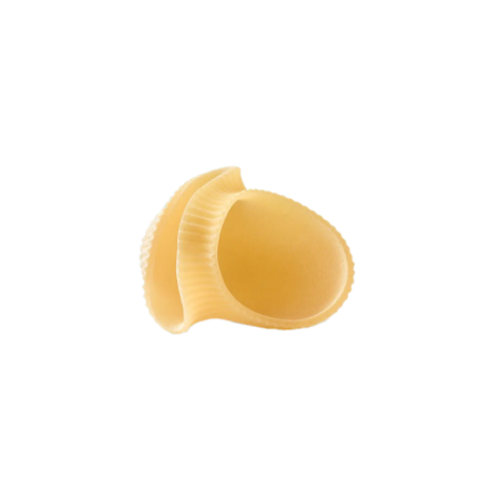 MOLISANA 307 SPECIALI LUMACONI GR.500X12