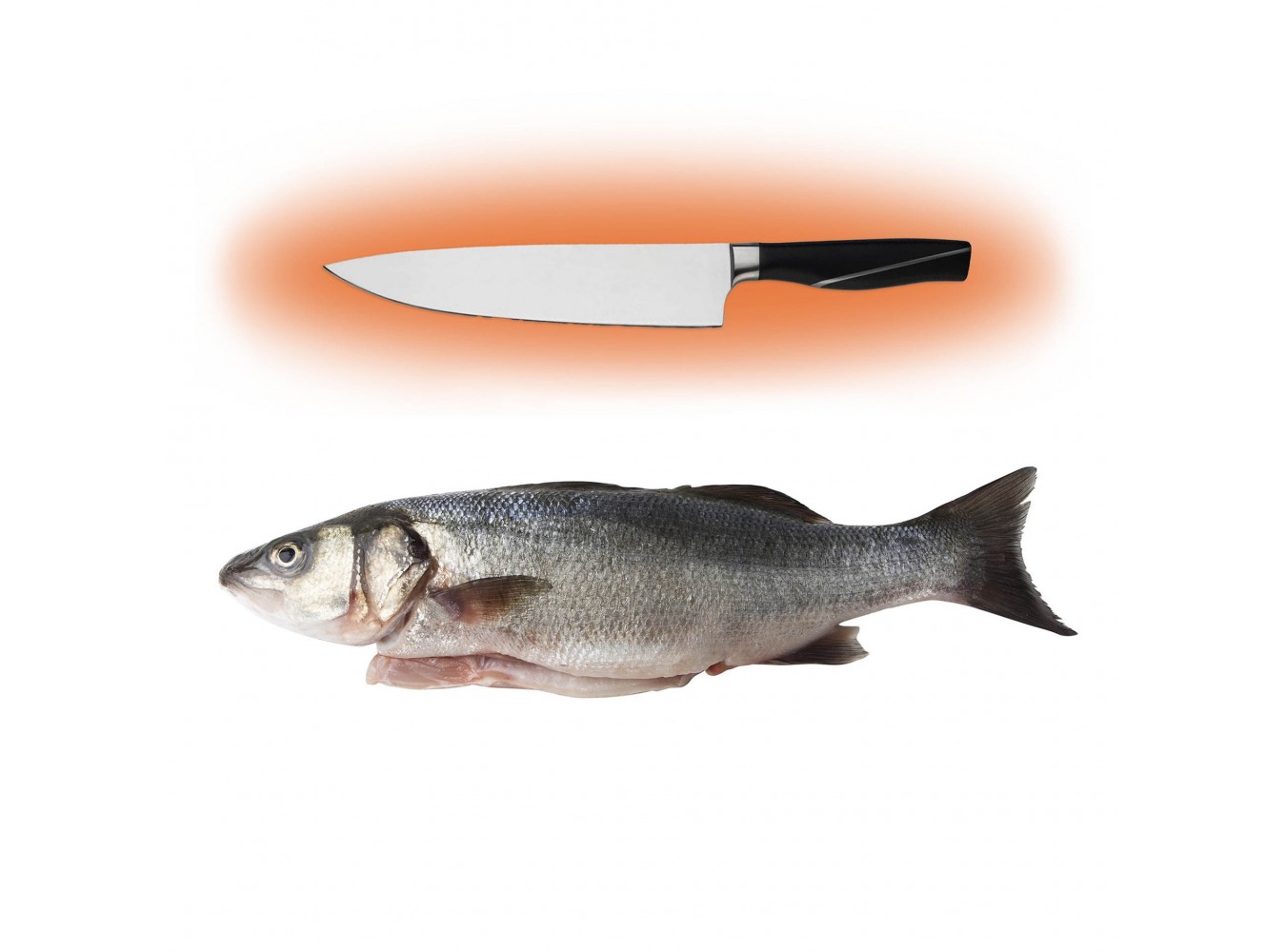 BRANZINO ALLEVATO HR 1500/2000 X1 PZ