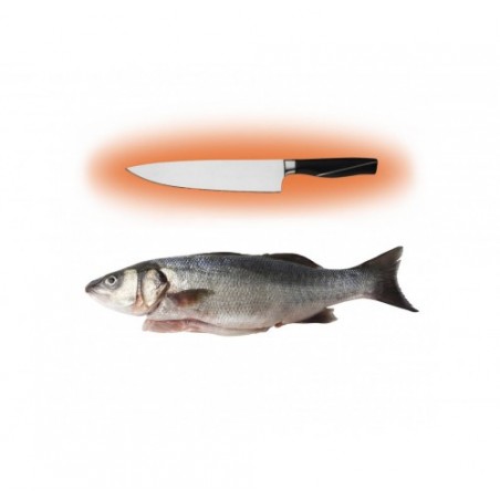 BRANZINO E. 200/300  X6 KG