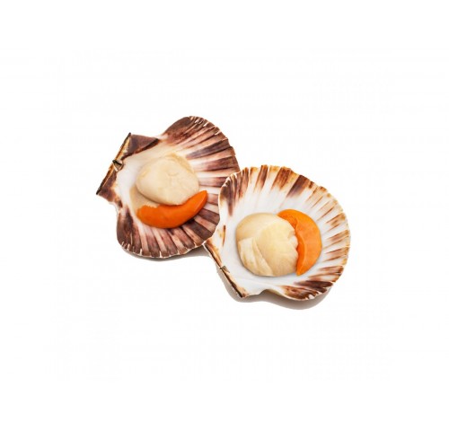 CAPASANTA ATLANT. 1/2 GUSC. DECONG X3 KG