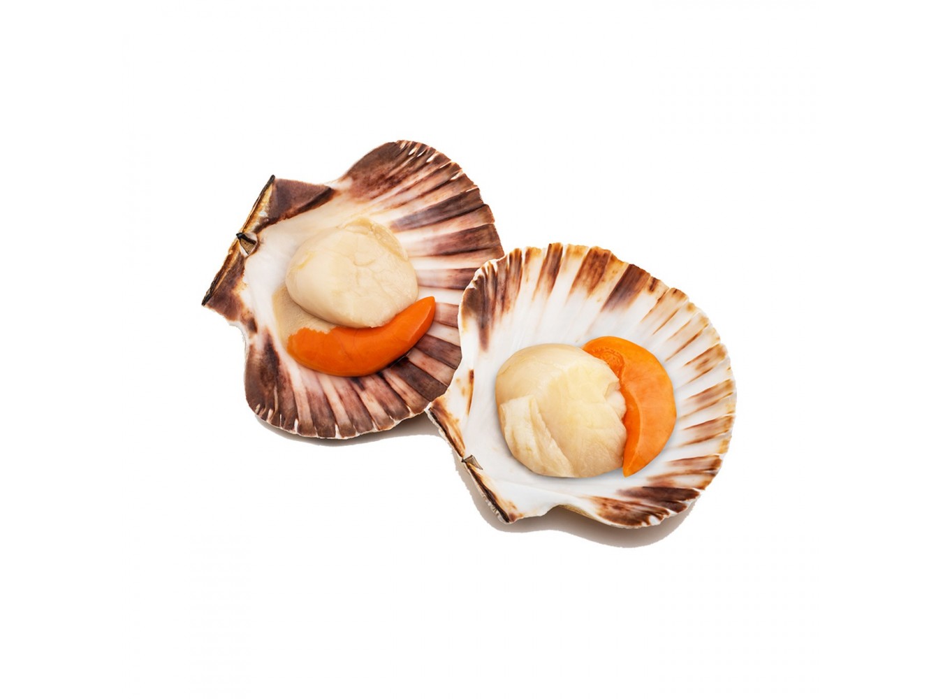 CAPASANTA ATLANT. 1/2 GUSC. DECONG X3 KG