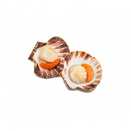 CAPASANTA ATLANT. 1/2 GUSC. DECONG X3 KG