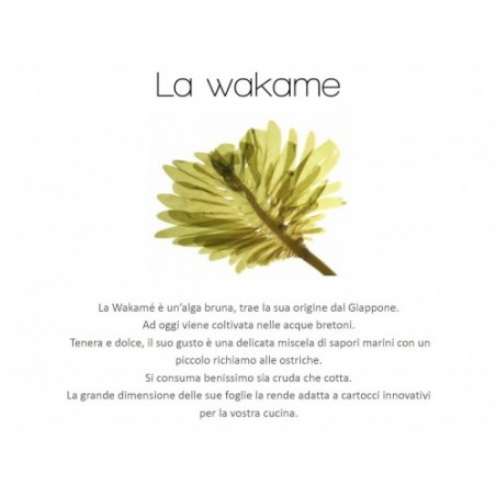 ALGA WAKAME X1 KG
