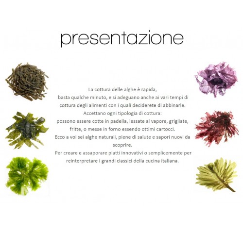 ALGA MIX 4 TIPI X2 KG