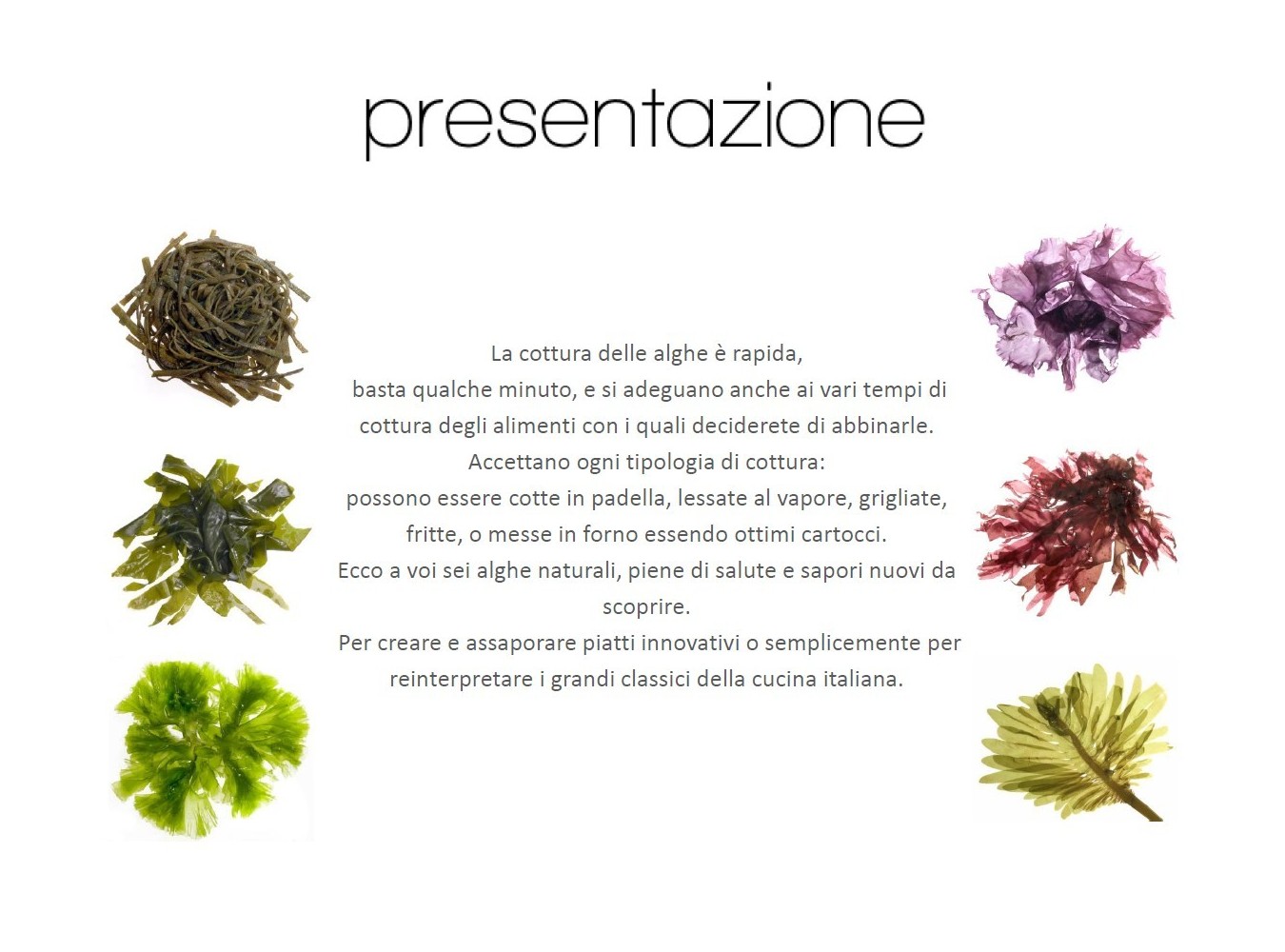 ALGA MIX 4 TIPI X2 KG