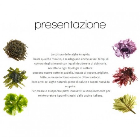 ALGA MIX 4 TIPI X2 KG