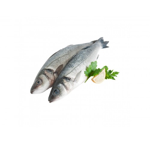 BRANZINO 200/500 PESCATO X3 KG