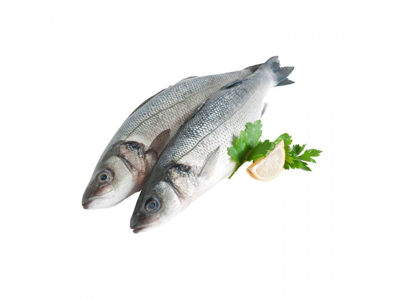 BRANZINO 200/500 PESCATO X3 KG