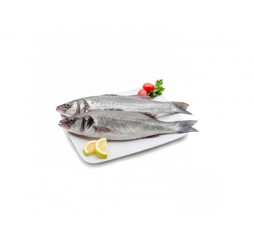 BRANZINO 800/1000 E. TURCHIA X10 KG