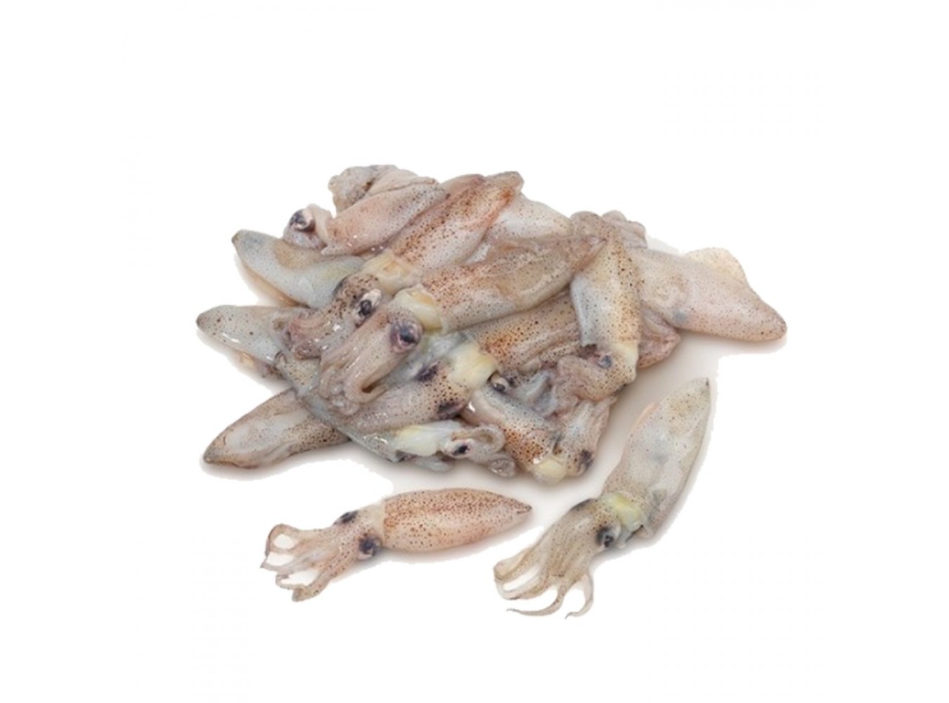 CALAMARETTO 3/5CM MAR ADRIATICO X3 KG