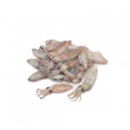 CALAMARETTO 3/5CM MAR ADRIATICO X3 KG