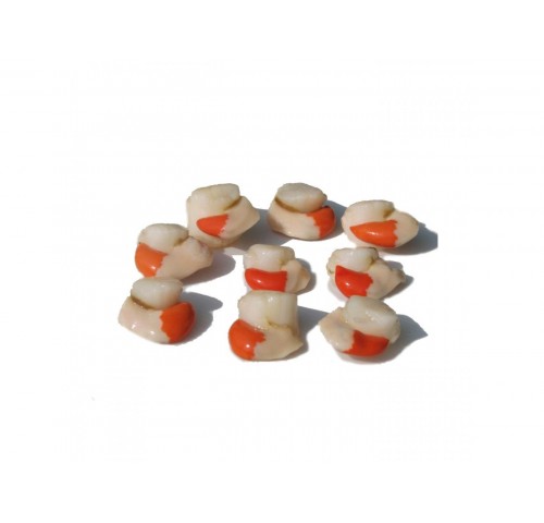 CANESTRELLO SGUSC. ADRIATICO X1 KG