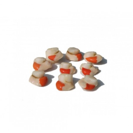 CANESTRELLO SGUSC. ADRIATICO X1 KG