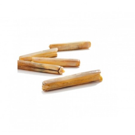 CANNOLICCHIO PESCATO ATLANTICO X3 KG