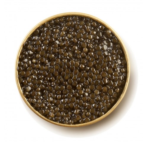 CAVIALE ASETRA GR.50