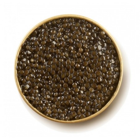 CAVIALE ASETRA GR.50