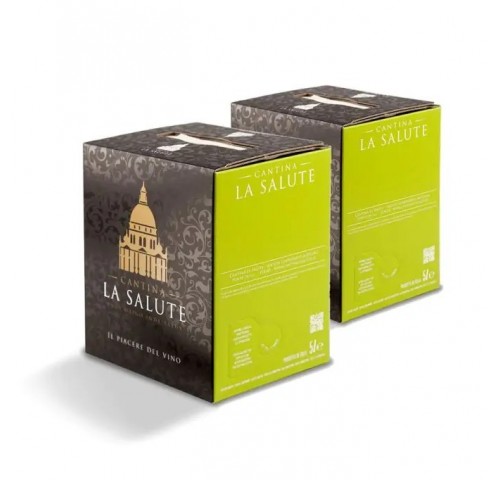 VINO BIANCO VERDUZZO IGT BAG BOX   LT.10