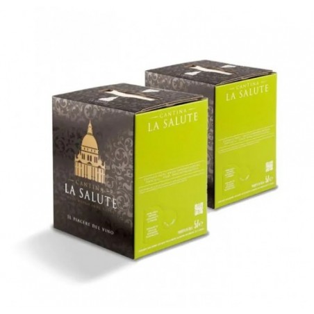 VINO BIANCO VERDUZZO IGT BAG BOX   LT.10