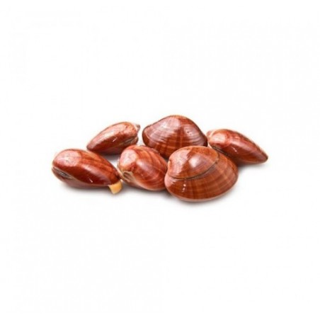 FASOLARI PESCATI X2 KG