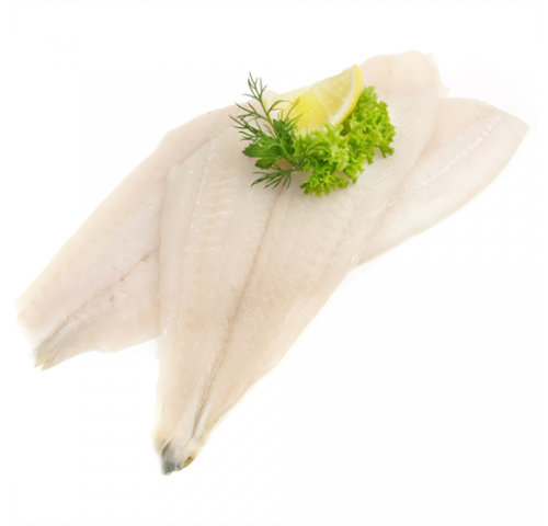 FIL. PLATESSA XL/SP  X3 KG