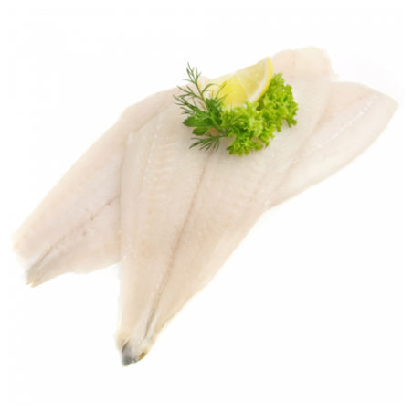 FIL. PLATESSA XL/SP  X3 KG