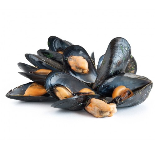 COZZA SPAGNA SPAZZOLATA/SBISSATA X5KG