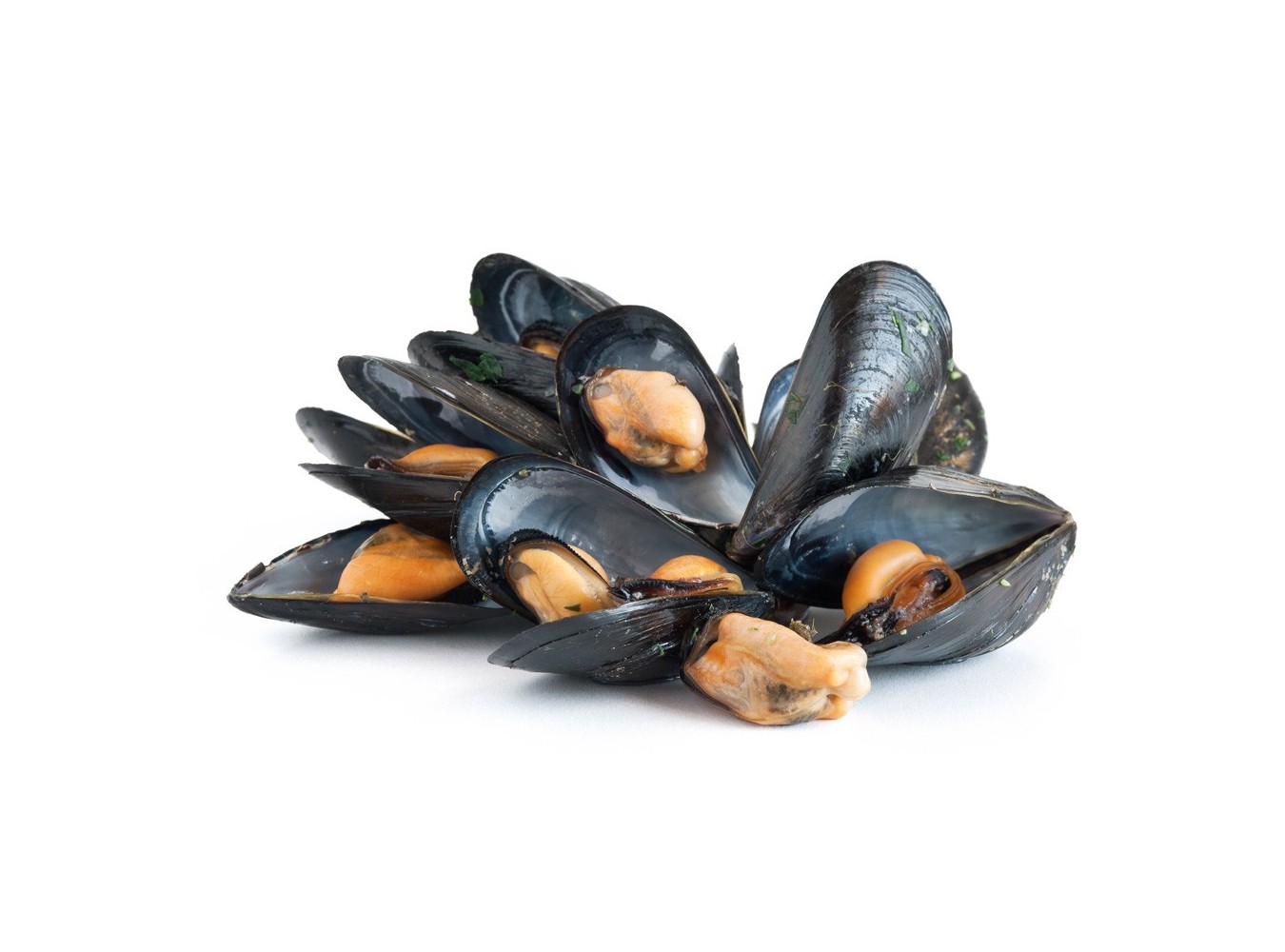 COZZA SPAGNA SPAZZOLATA/SBISSATA X3KG