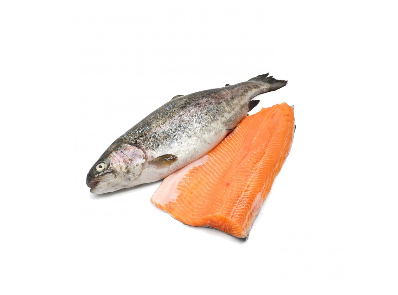FIL. TROTA IRIDEA SALMON.120/150G X3 KG