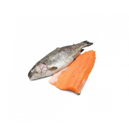 FIL. TROTA IRIDEA SALMON.120/150G X3 KG