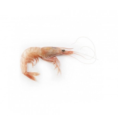 GAMBERO ROSA INTERO EXTRA X3 KG