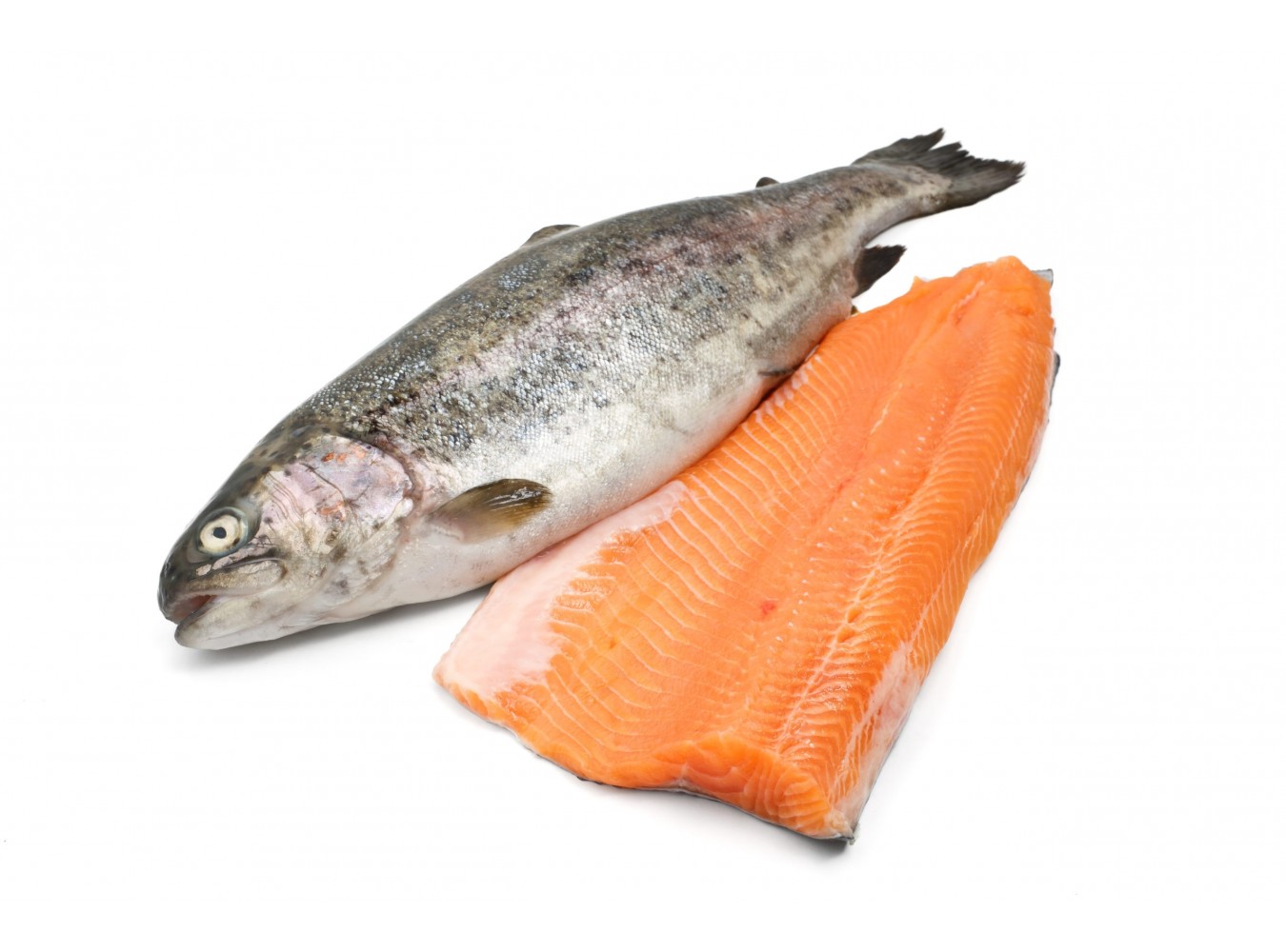 FIL. TROTA IRIDEA SALMON. 160/200G X3 KG