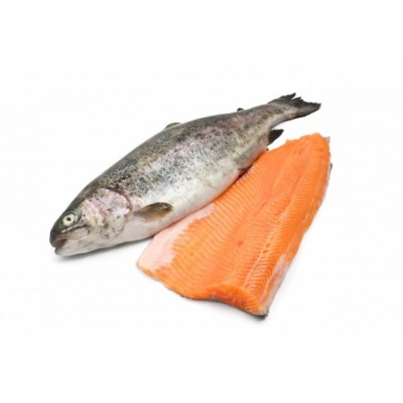 FIL. TROTA IRIDEA SALMON. 160/200G X3 KG