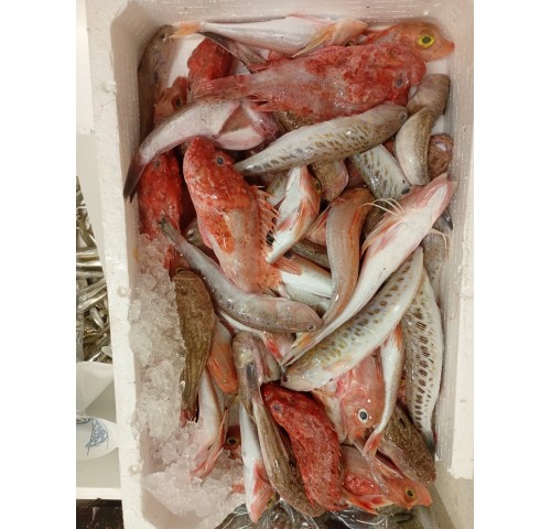 FRITTO PESCATO DI PARANZA X5 KG