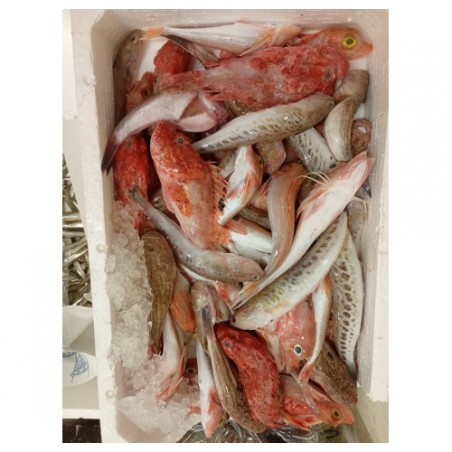 FRITTO PESCATO DI PARANZA X5 KG