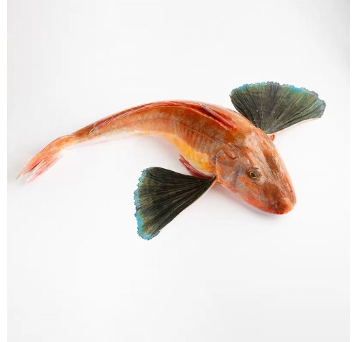 GALLINELLA PESCATA 300/500 X3 KG