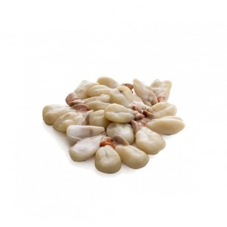 LATTE DI SEPPIA X3 KG