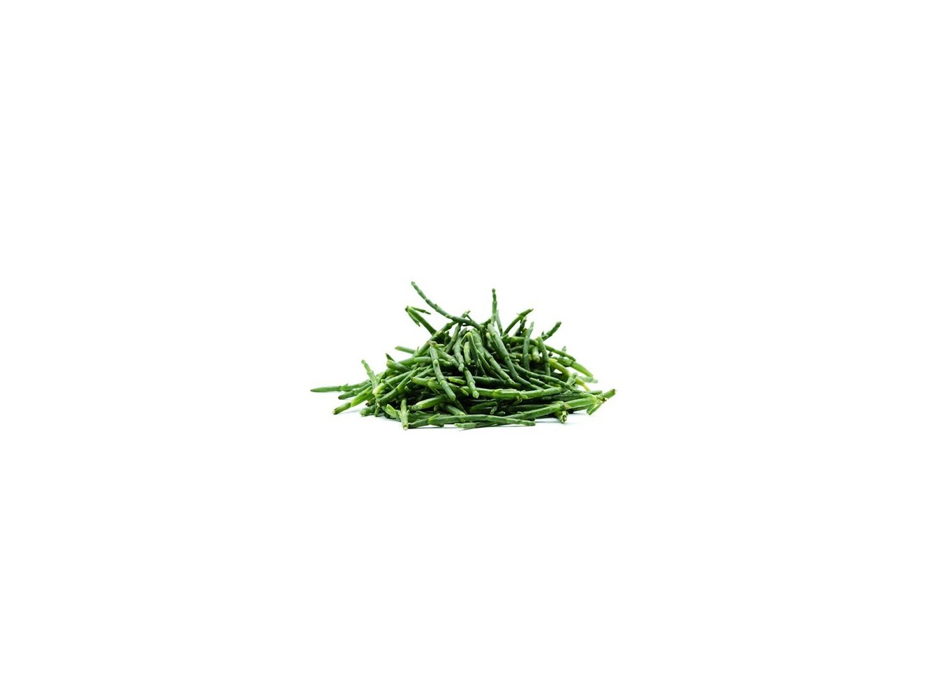 SALICORNIA - ASPARAGO DI MARE X1 KG