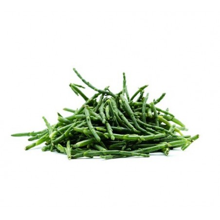 SALICORNIA - ASPARAGO DI MARE X1 KG