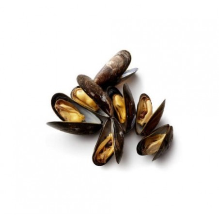 COZZA ALLEVATA ITALIA X5 KG