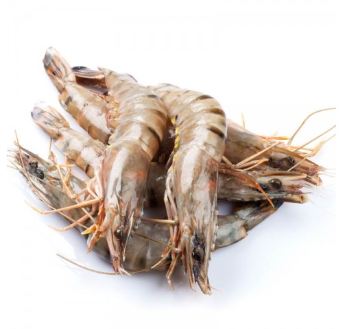 MAZZANCOLLA PESCATA ADRIATICO X3 KG