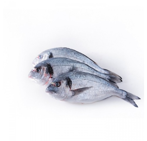 ORATA PESCATO MEDITERRANEO 3000+ X1 PZ