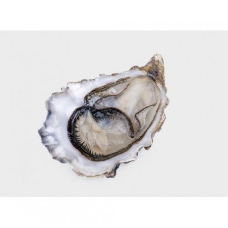 OSTRICA FINE BLEU N2 10PZ -1KG