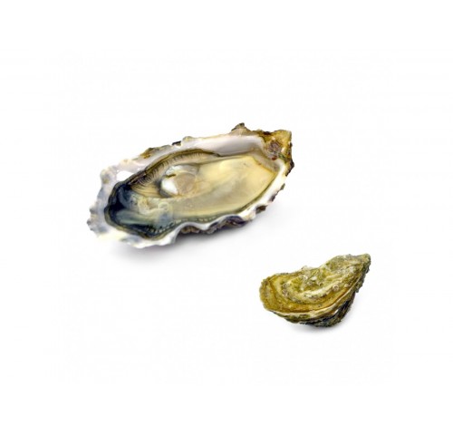 OSTRICA FINE DAVID HERVE N3 12PZ - 1KG