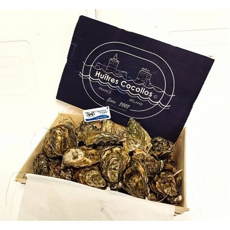 OSTRICA SPEC. COCOLLOS N3 24PZ - 2,25KG