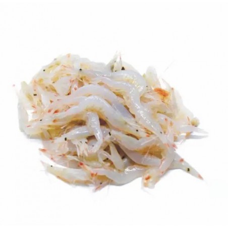 GAMBERO ROSA INTERO (GAMBERESSA) X3 KG