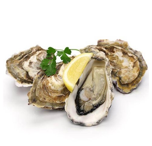 OSTRICA CONCAVA N2 10PZ - 1KG