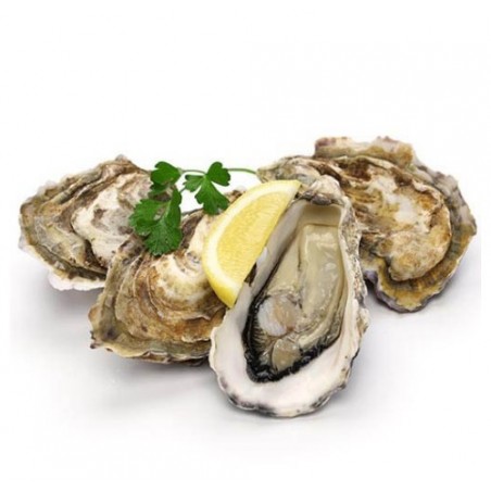 OSTRICA CONCAVA N4 16PZ - 1KG